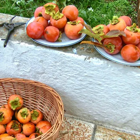 Trulli A Frascarosa فندق مبيت وإفطار مارتينا فرانكا