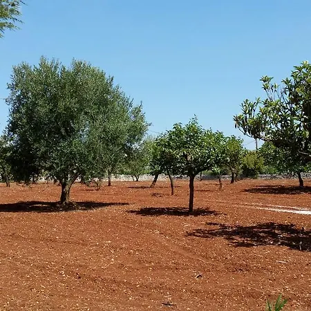 فندق مبيت وإفطار Trulli A Frascarosa